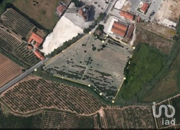 Terreno em Santa Maria, São Pedro e Sobral da Lagoa de 24 000 m²