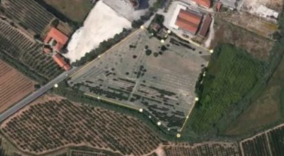 Land in Santa Maria, São Pedro e Sobral da Lagoa of 24,000 m²