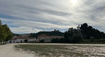 Land in Santa Maria, São Pedro e Sobral da Lagoa of 24,000 m²