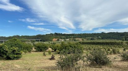 Land in Santa Maria, São Pedro e Sobral da Lagoa of 24,000 m²