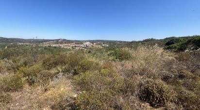 Terrain à Barão de São Miguel de 11 040 m²