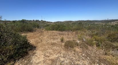 Terrain à Barão de São Miguel de 11 040 m²