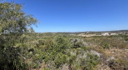 Terrain à Barão de São Miguel de 11 040 m²