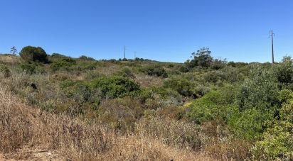 Terrain à Barão de São Miguel de 11 040 m²