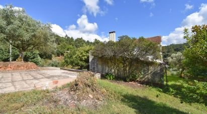 Maison de village T2 à São Miguel, Santa Eufémia e Rabaçal de 218 m²