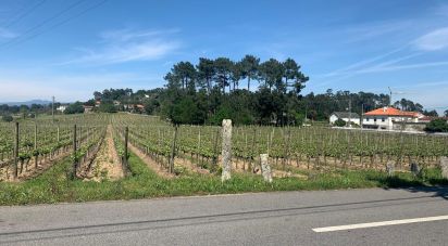 Building plot in Longos Vales of 1,770 m²