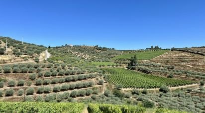 Terrain à Cedovim de 100 000 m²