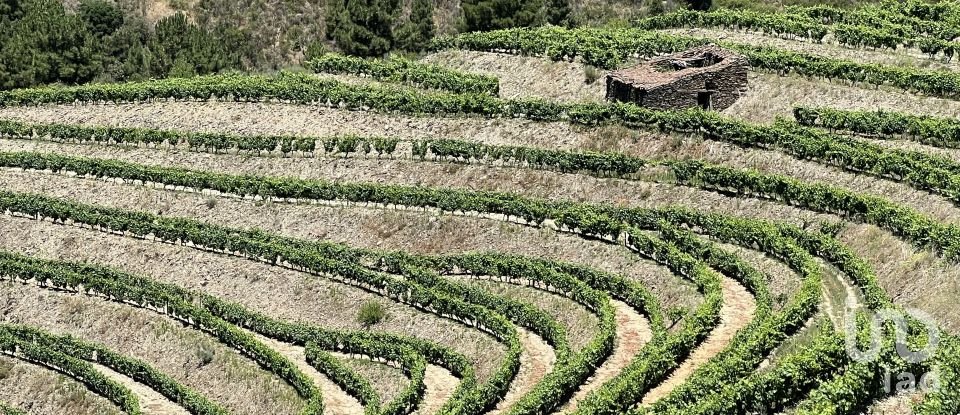 Terrain à Cedovim de 54 000 m²