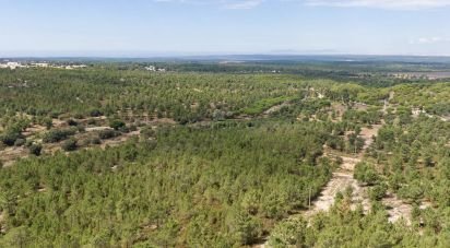 Land in Sesimbra (Castelo) of 7,500 m²