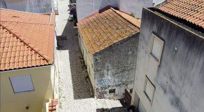 Gîte T2 à Nazaré de 150 m²