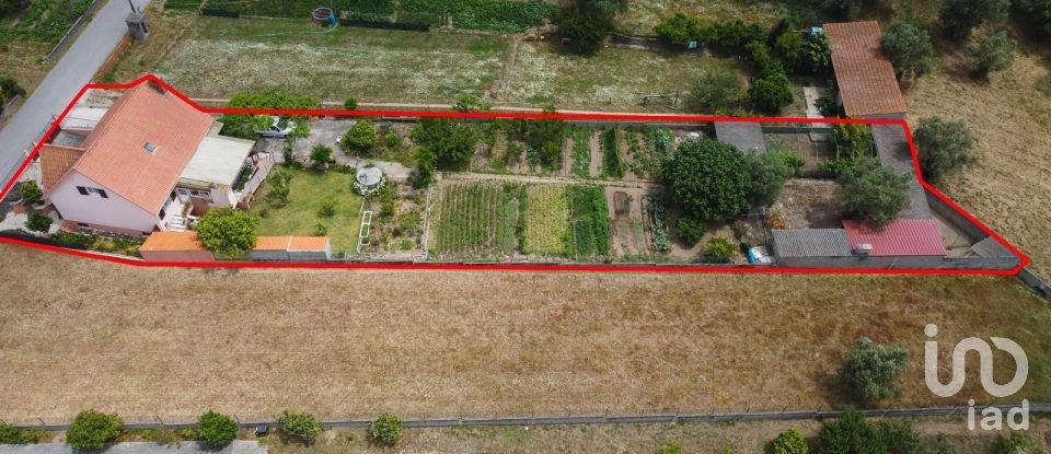 Casa tradicional T5 em Souto da Carpalhosa e Ortigosa de 197 m²