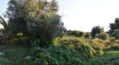 Terrain à bâtir à Areias e Pias de 640 m²