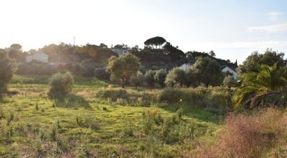 Terrain à bâtir à Areias e Pias de 640 m²