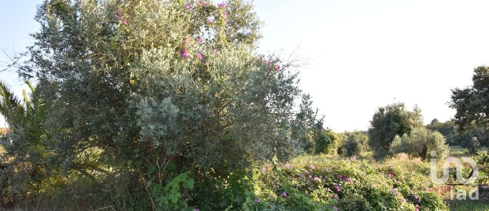 Terreno urbano em Areias e Pias de 640 m²