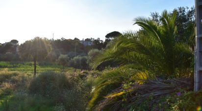 Terrain à bâtir à Areias e Pias de 640 m²