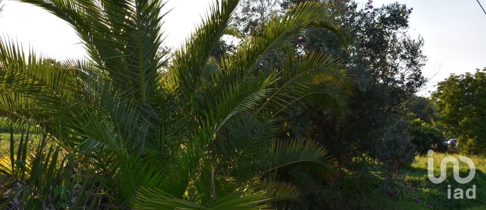 Terreno urbano em Areias e Pias de 640 m²