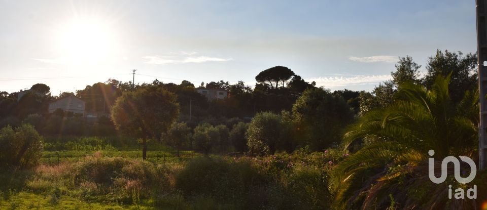 Terreno urbano em Areias e Pias de 640 m²