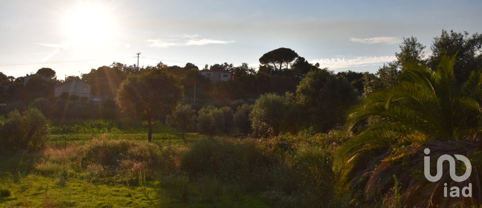 Terreno urbano em Areias e Pias de 640 m²