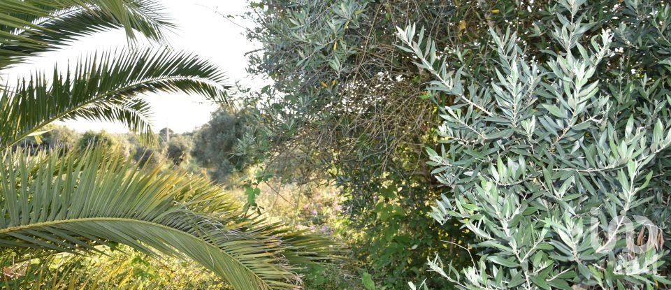 Terreno urbano em Areias e Pias de 640 m²