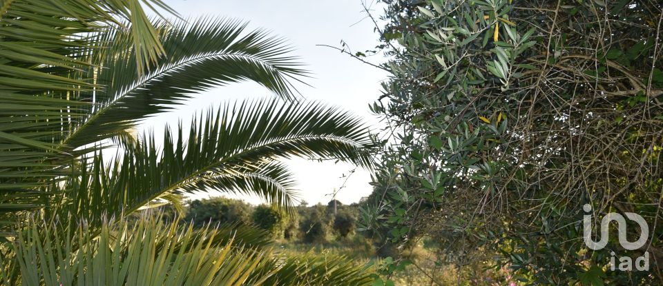 Terreno urbano em Areias e Pias de 640 m²