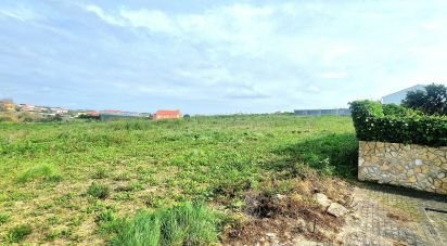 Terrain à Ericeira de 10 001 m²
