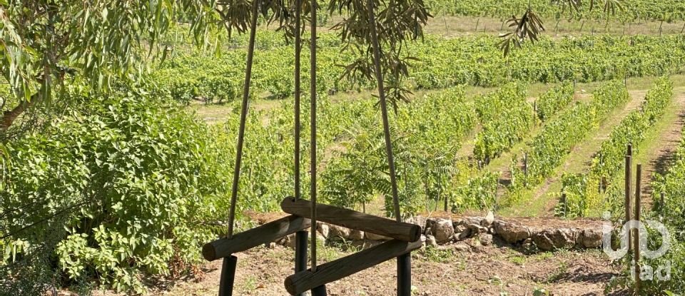 Ferme T3 à Cabeça Boa de 280 m²