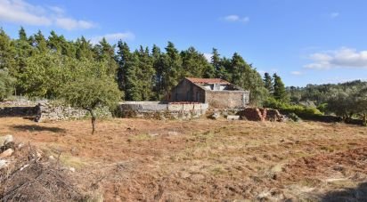 Terrain à Condeixa-a-Velha e Condeixa-a-Nova de 2 419 m²