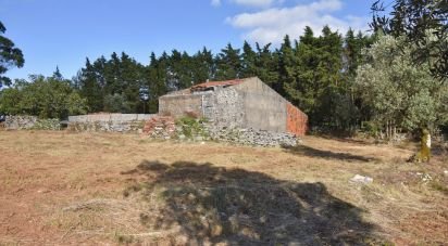 Terrain à Condeixa-a-Velha e Condeixa-a-Nova de 2 419 m²