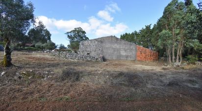 Terrain à Condeixa-a-Velha e Condeixa-a-Nova de 2 419 m²