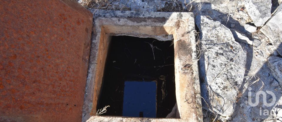 Land in Condeixa-a-Velha e Condeixa-a-Nova of 2,419 m²