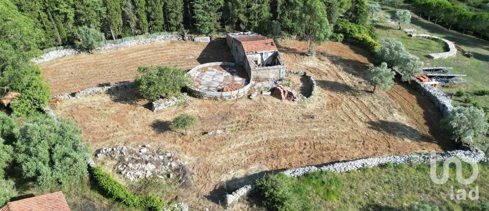 Land in Condeixa-a-Velha e Condeixa-a-Nova of 2,419 m²