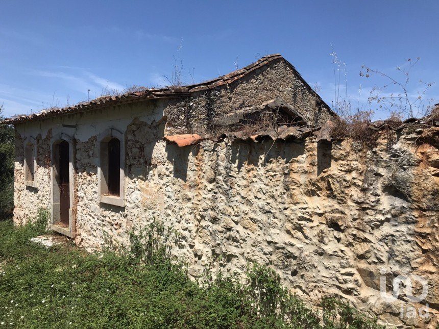 Farm T6 in Chãos of 650 m²