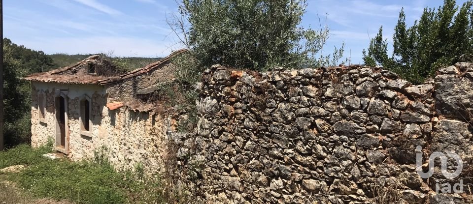 Farm T6 in Chãos of 650 m²