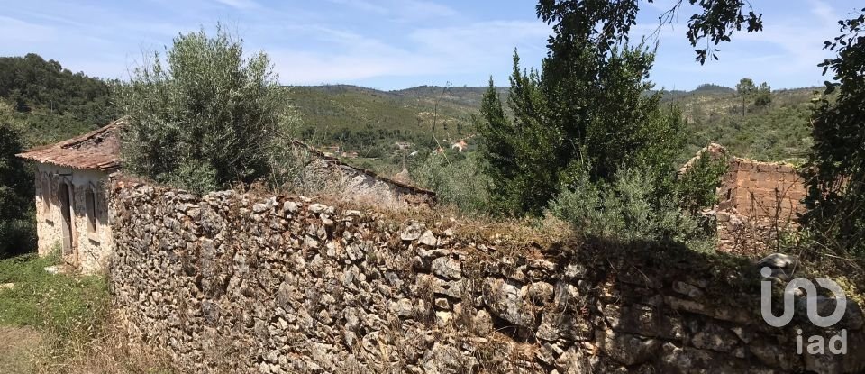 Farm T6 in Chãos of 650 m²