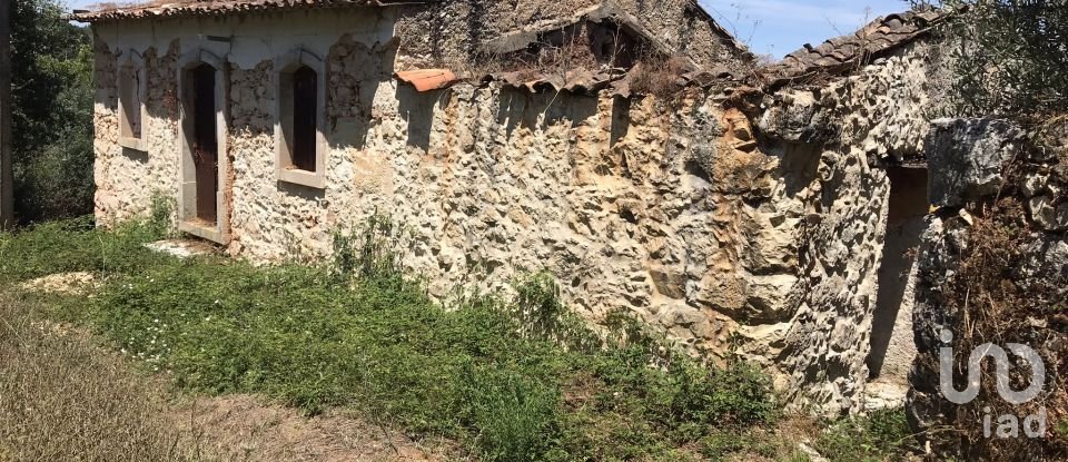 Farm T6 in Chãos of 650 m²