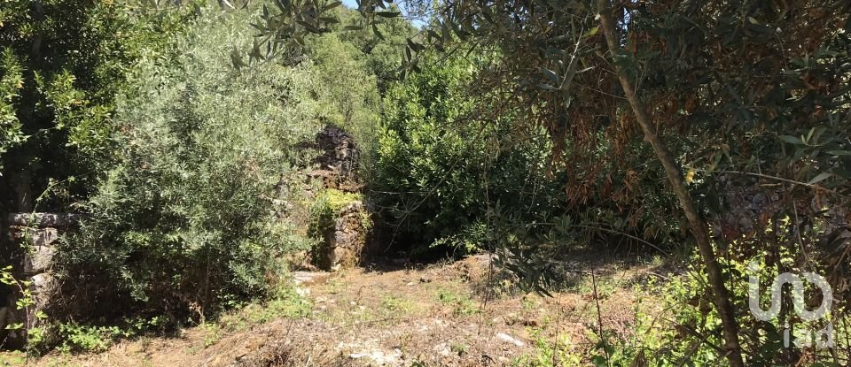 Farm T6 in Chãos of 650 m²