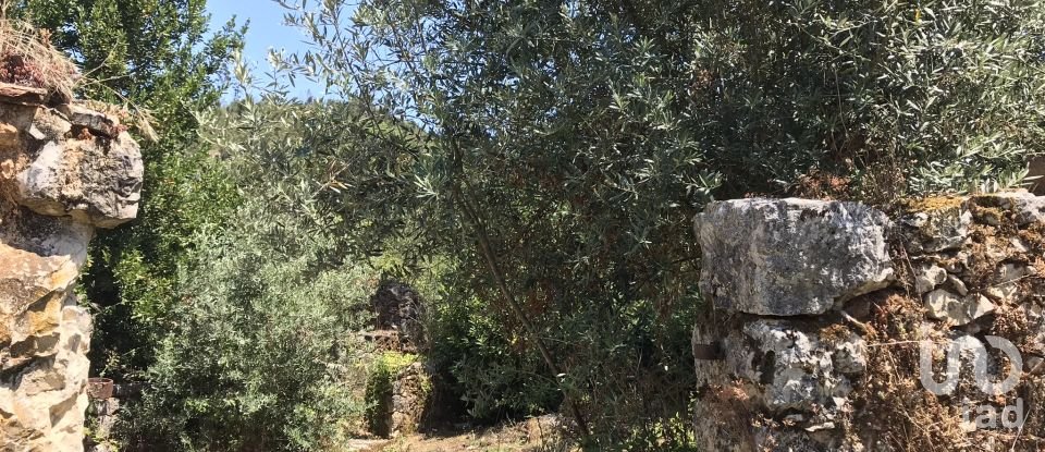 Farm T6 in Chãos of 650 m²