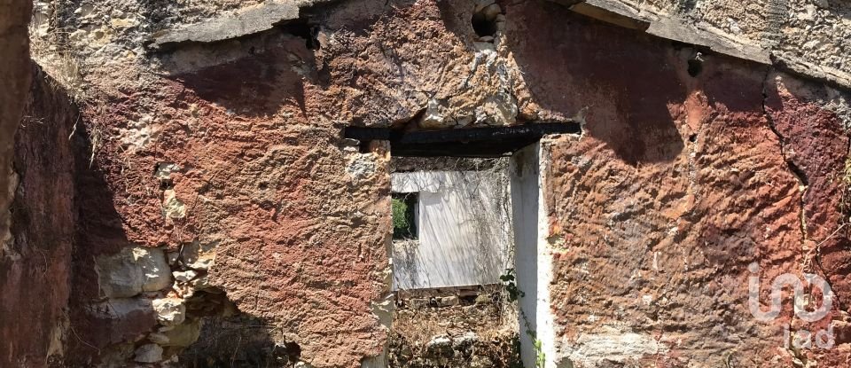 Farm T6 in Chãos of 650 m²