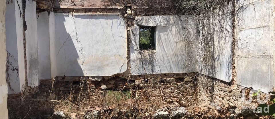 Farm T6 in Chãos of 650 m²