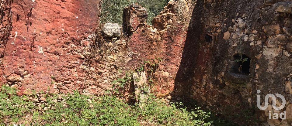 Farm T6 in Chãos of 650 m²