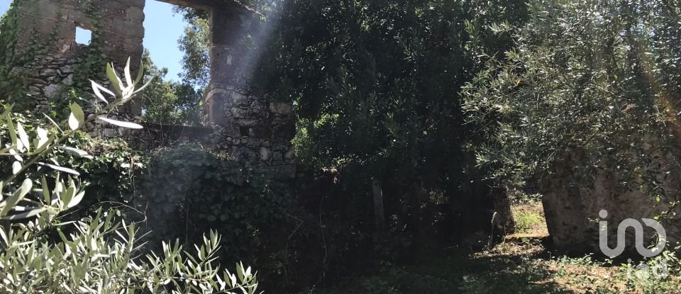 Farm T6 in Chãos of 650 m²