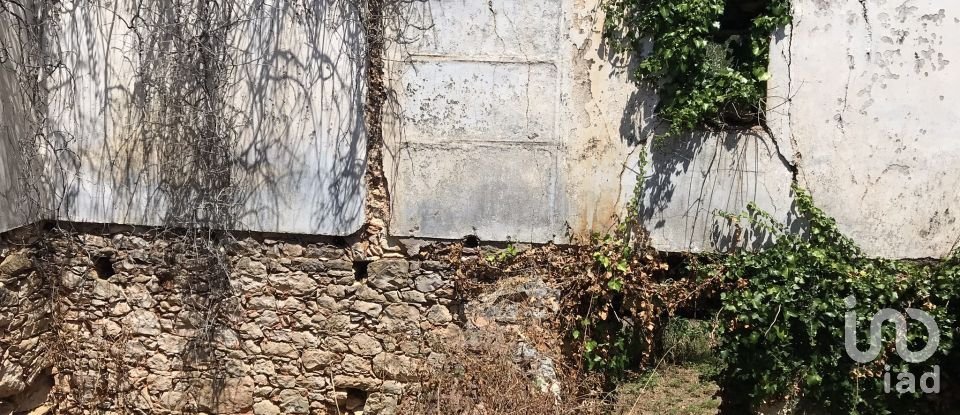 Farm T6 in Chãos of 650 m²