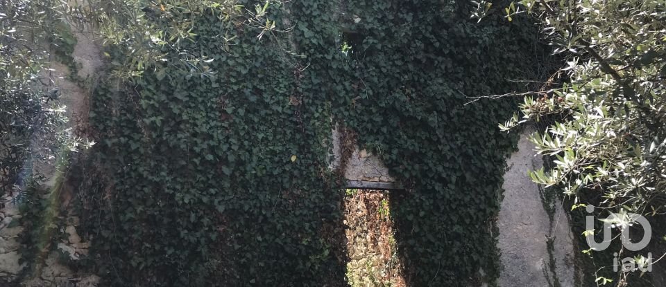 Farm T6 in Chãos of 650 m²