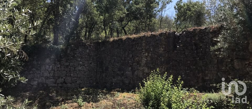 Farm T6 in Chãos of 650 m²