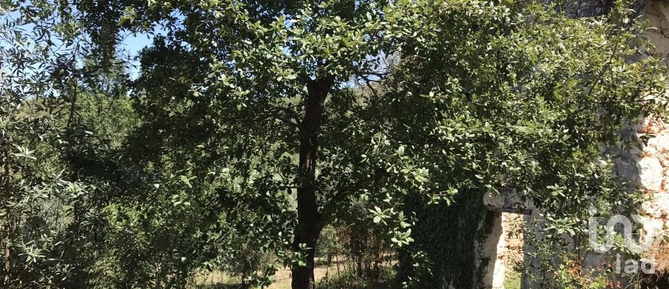 Farm T6 in Chãos of 650 m²