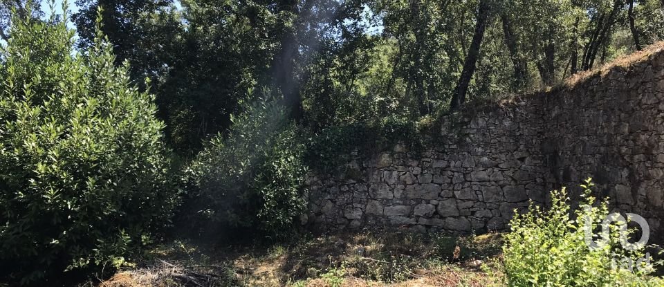 Farm T6 in Chãos of 650 m²