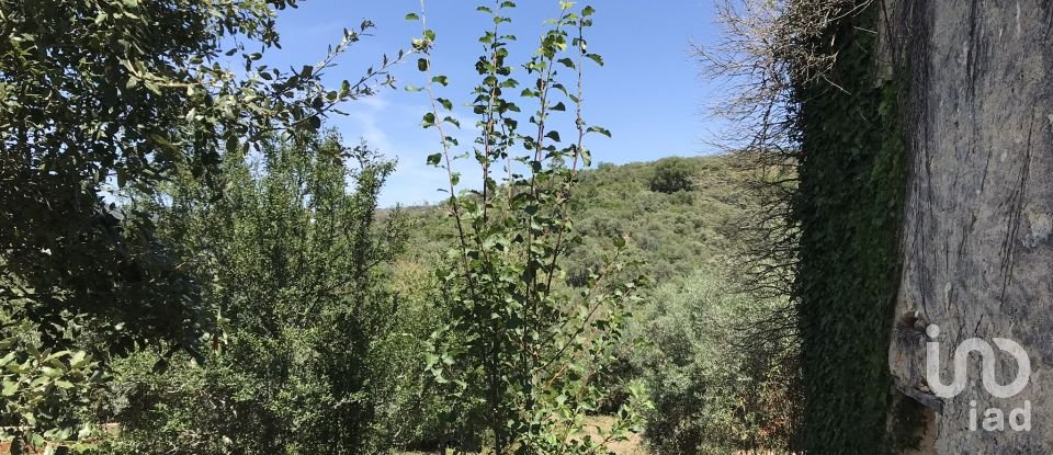 Farm T6 in Chãos of 650 m²