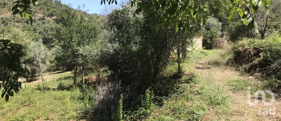 Farm T6 in Chãos of 650 m²