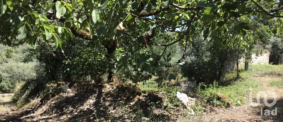 Farm T6 in Chãos of 650 m²