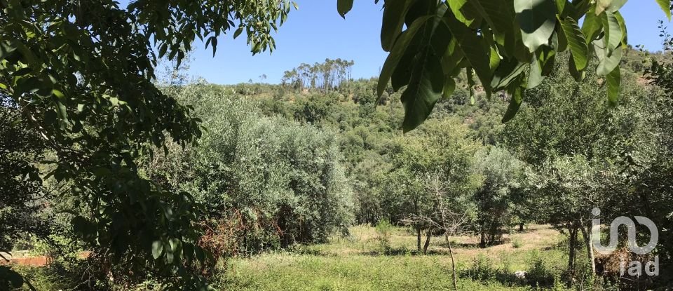 Farm T6 in Chãos of 650 m²